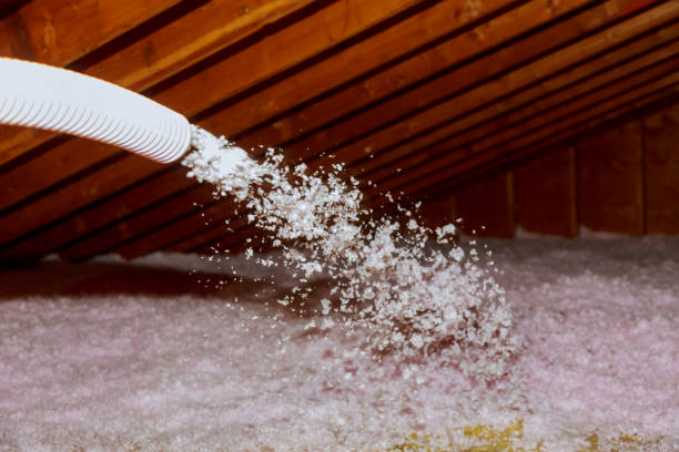 Best Insulation Contractor Near Me  in Laurel Park, NC