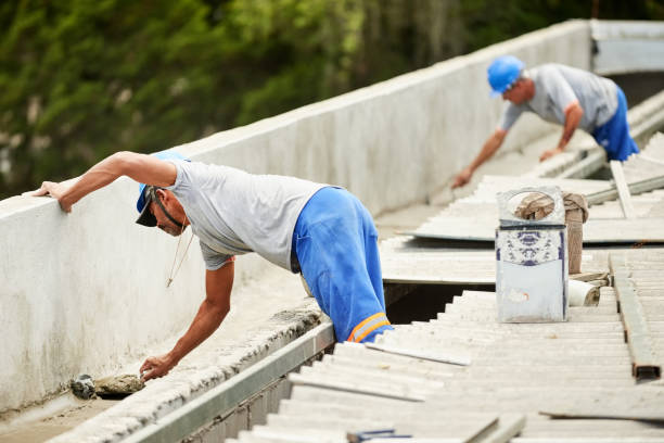 Best Professional Insulation Contractor  in Laurel Park, NC