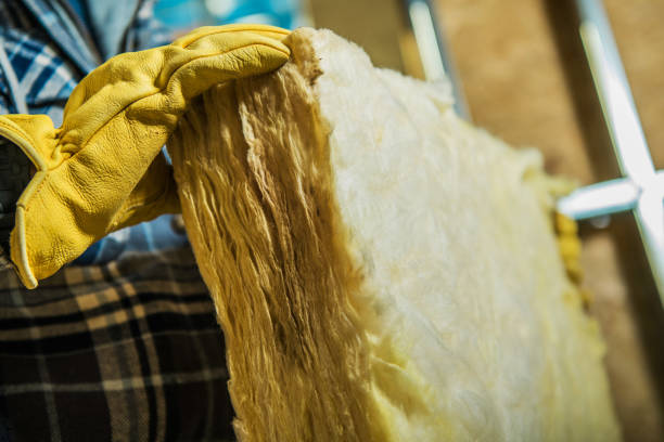 Best Home Insulation Services  in Laurel Park, NC