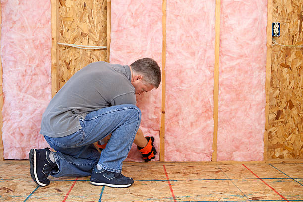 Best Insulation for New Construction  in Laurel Park, NC