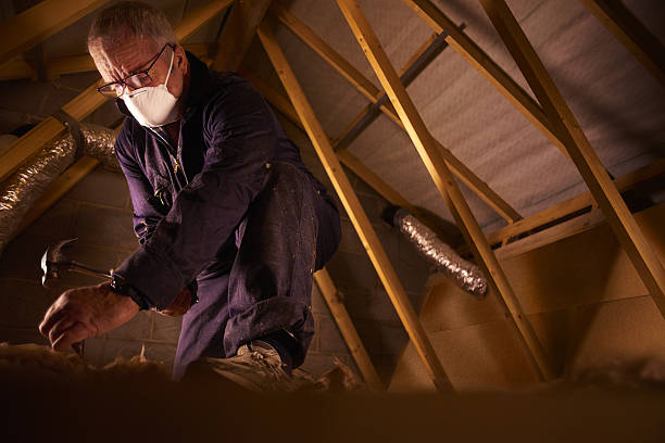 Best Insulation Contractors for Homes  in Laurel Park, NC